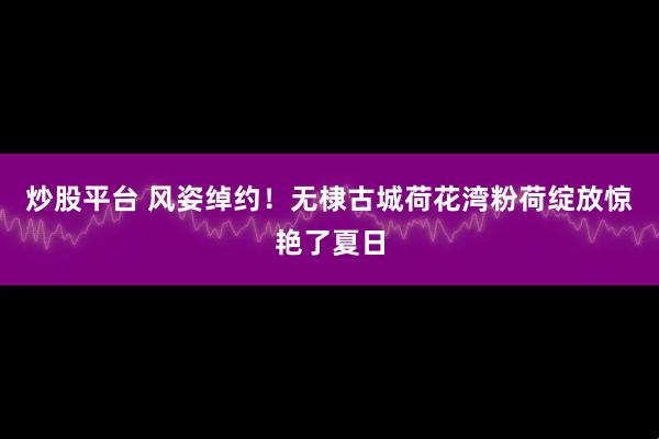 炒股平台 风姿绰约！无棣古城荷花湾粉荷绽放惊艳了夏日