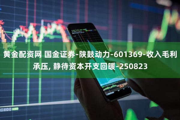 黄金配资网 国金证券-陕鼓动力-601369-收入毛利承压, 静待资本开支回暖-250823