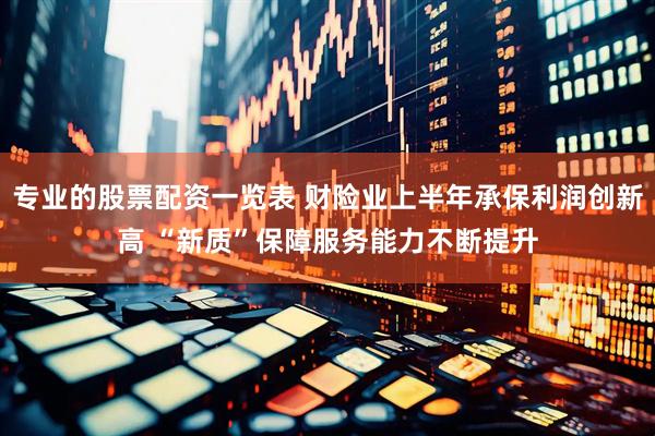 专业的股票配资一览表 财险业上半年承保利润创新高 “新质”保障服务能力不断提升